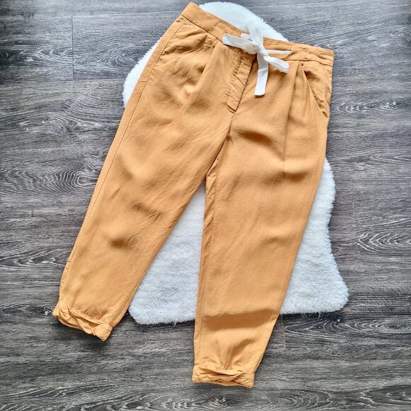Aritzia Allant Pant in Amber Earth by Wilfred Sz 10 - Picture 3 of 9